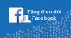 tang-follow-facebook-1.png